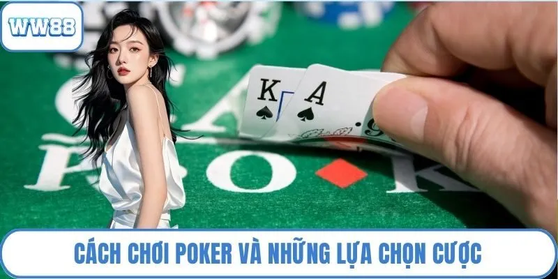 Cách chơi poker và những lựa chọn cược