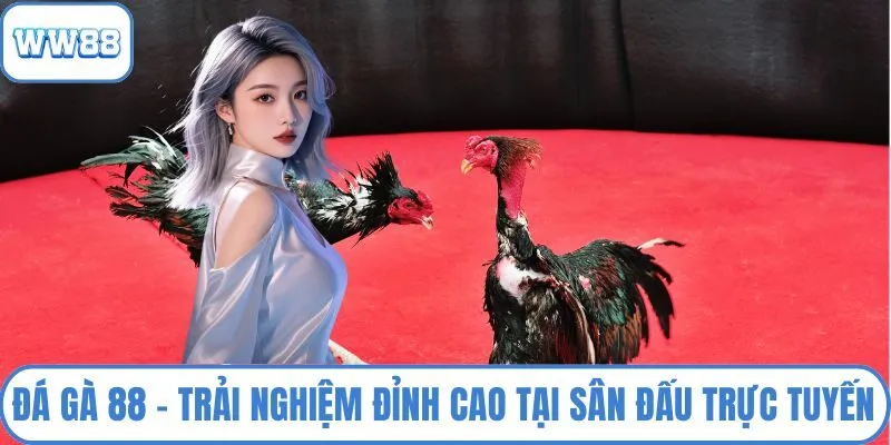 Đá gà 88