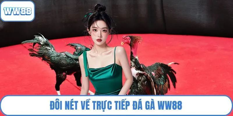 Đôi nét về trực tiếp đá gà WW88
