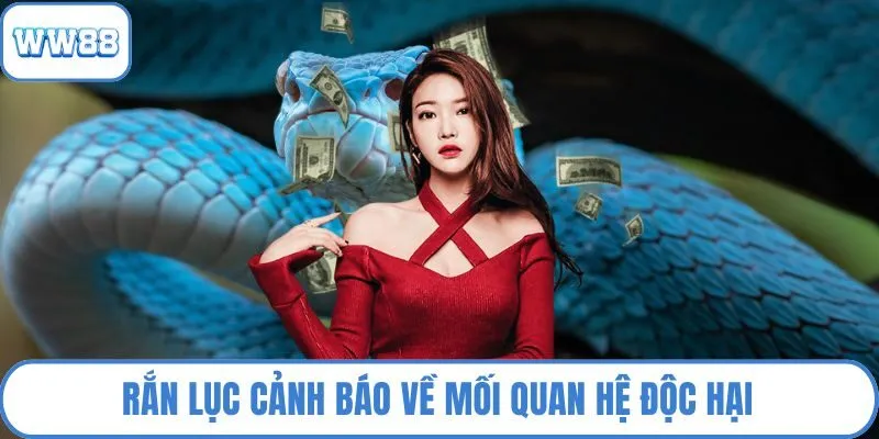 Rắn lục cảnh báo về mối quan hệ độc hại
